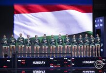 Varga Zsolt szerint fantasztikus Európa-bajnoksága volt a vízilabdázóknak