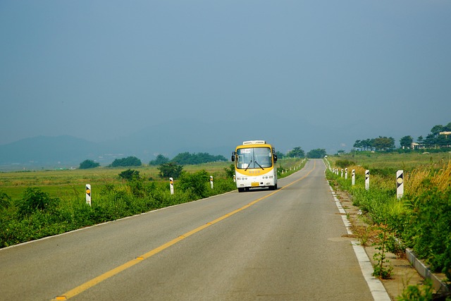 busz,