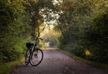 A Balaton zalai térségét népszerűsítő kerékpáros fejlesztések indulnak