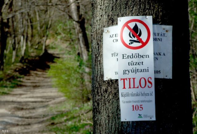 tűz